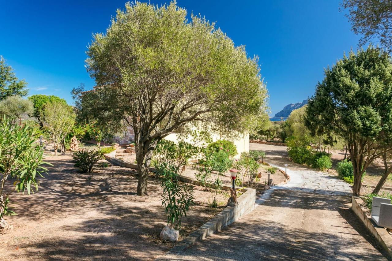 Apartament Casa Relax Porto San Paolo  Zewnętrze zdjęcie